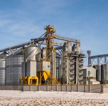 Cement